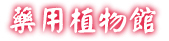 w2.jpg (15331 bytes)