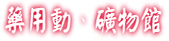 w4.jpg (15172 bytes)